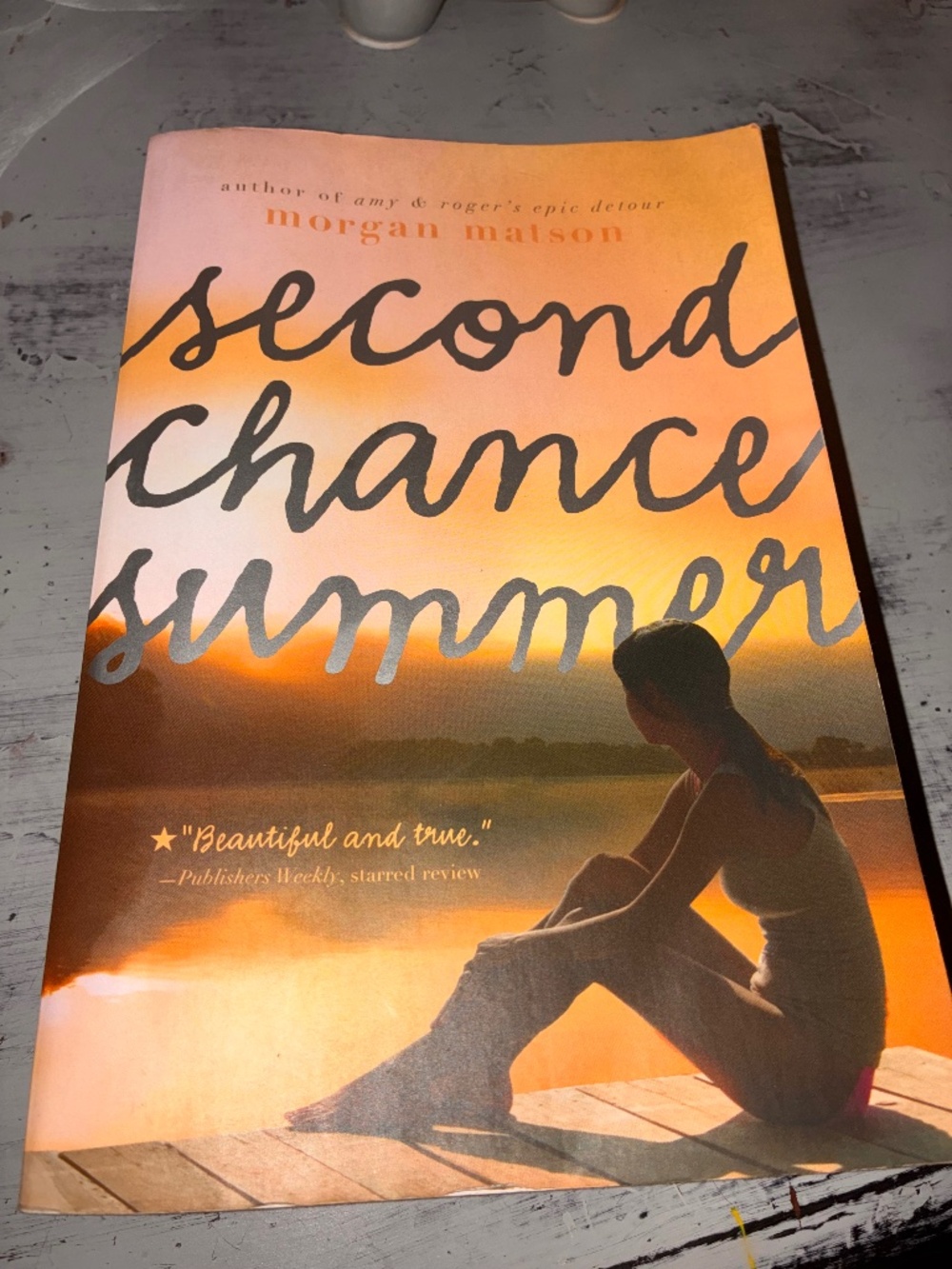 Second Chance Summer Book By Morgan Matson